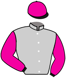 Casaque n°10