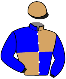 Casaque n°2
