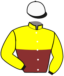 Casaque n°2