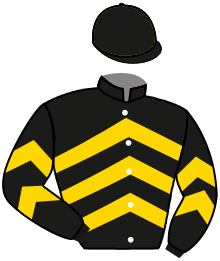 Casaque n°10