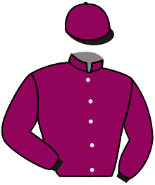 Casaque n°8