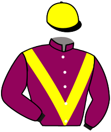 Casaque n°11