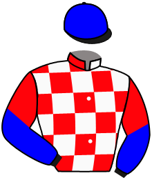 Casaque n°15