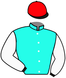 Casaque n°8