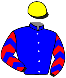 Casaque n°8