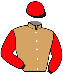 Casaque n°6