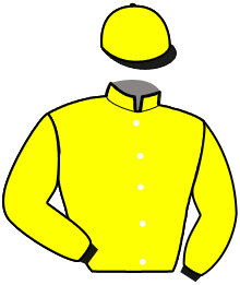 Casaque n°3