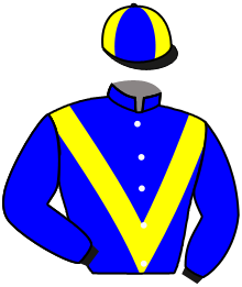 Casaque n°6