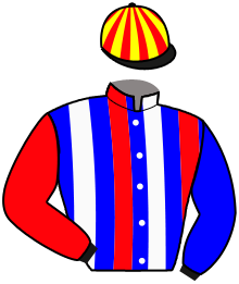 Casaque n°8
