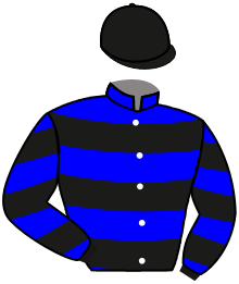 Casaque n°8