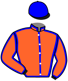 Casaque n°11