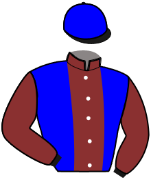 Casaque n°8