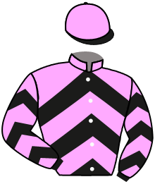 Casaque n°1