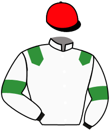 Casaque n°3