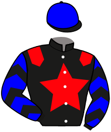 Casaque n°4