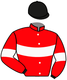 Casaque n°3