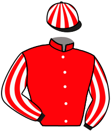Casaque n°11