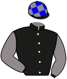 Casaque n°2