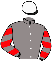 Casaque n°8