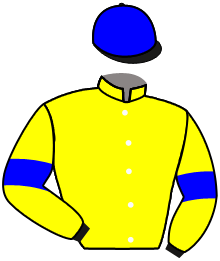 Casaque n°1