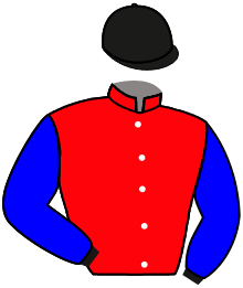 Casaque n°1