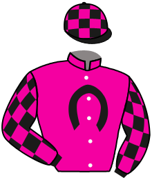 Casaque n°3