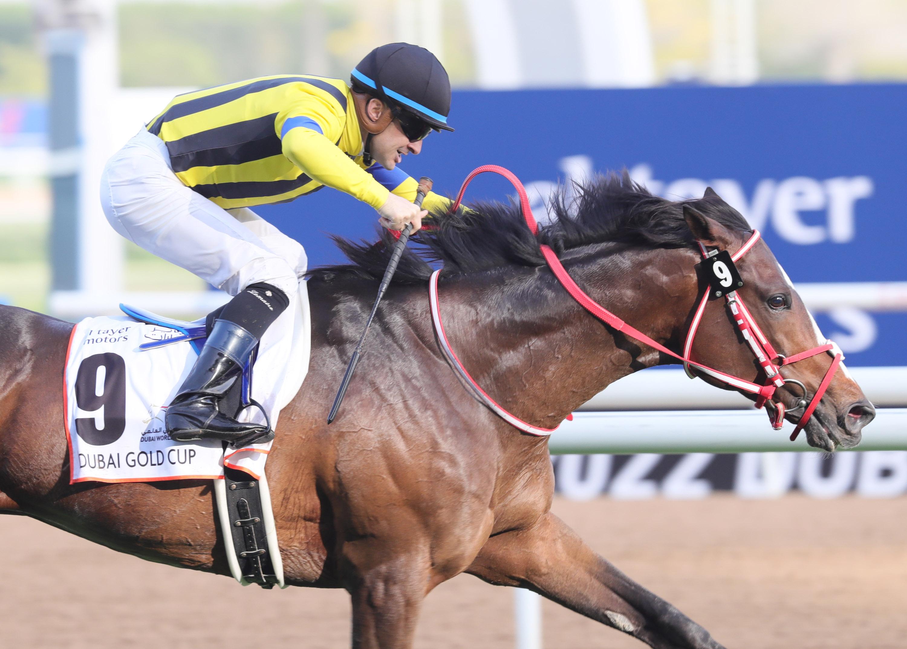 Dubai world cup 2022