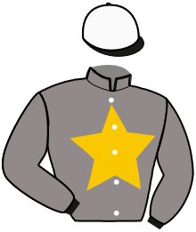 Casaque n°6
