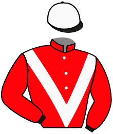 Casaque n°2