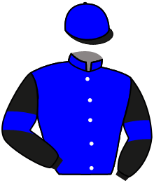 Casaque n°2