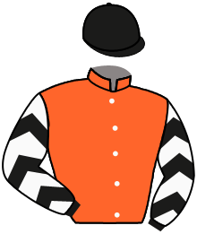 Casaque n°4