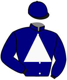 Casaque n°3