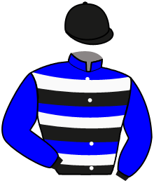 Casaque n°2