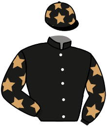 Casaque n°3