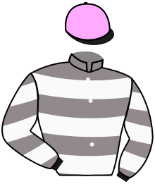 Casaque n°1