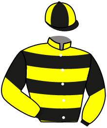 Casaque n°3