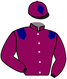 Casaque n°15