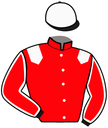 Casaque n°8