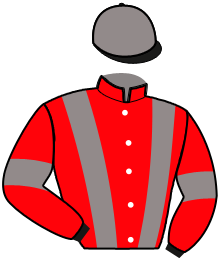 Casaque n°2