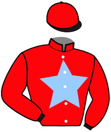 Casaque n°6