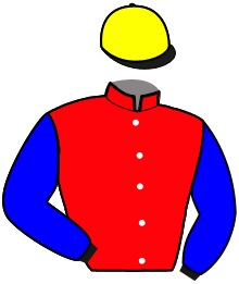 Casaque n°8
