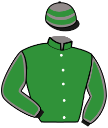 Casaque n°2