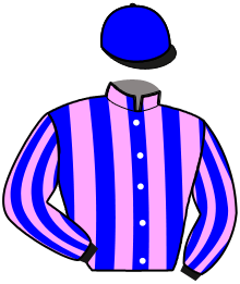 Casaque n°6