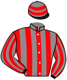 Casaque n°13
