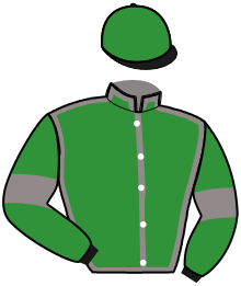 Casaque n°11
