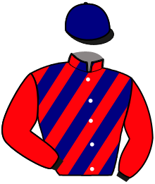 Casaque n°11
