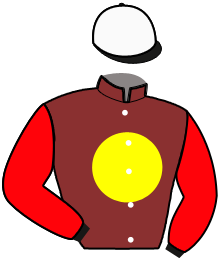 Casaque n°2