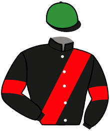 Casaque n°11