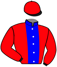 Casaque n°4