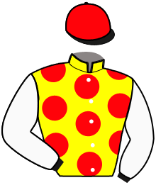 Casaque n°11